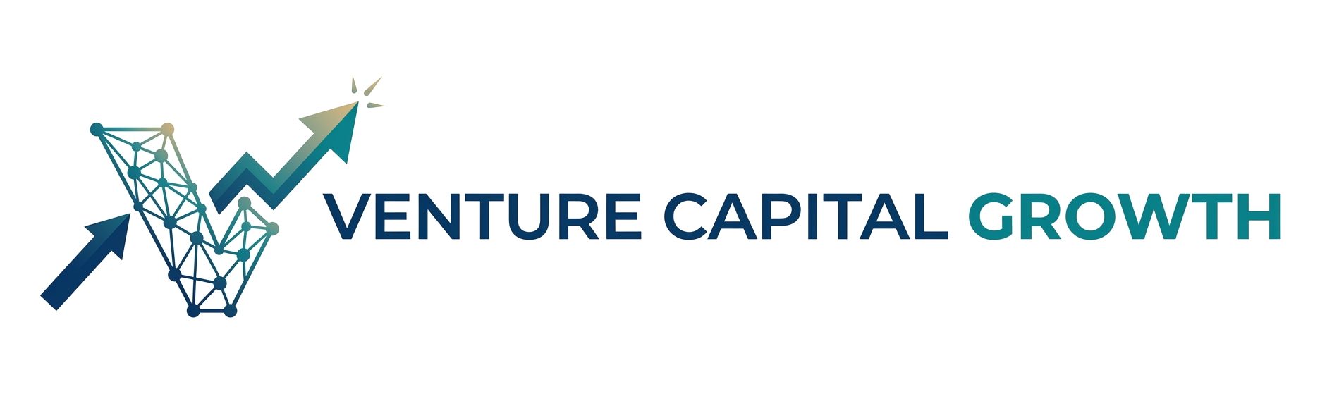 Venturecapitalgrowth